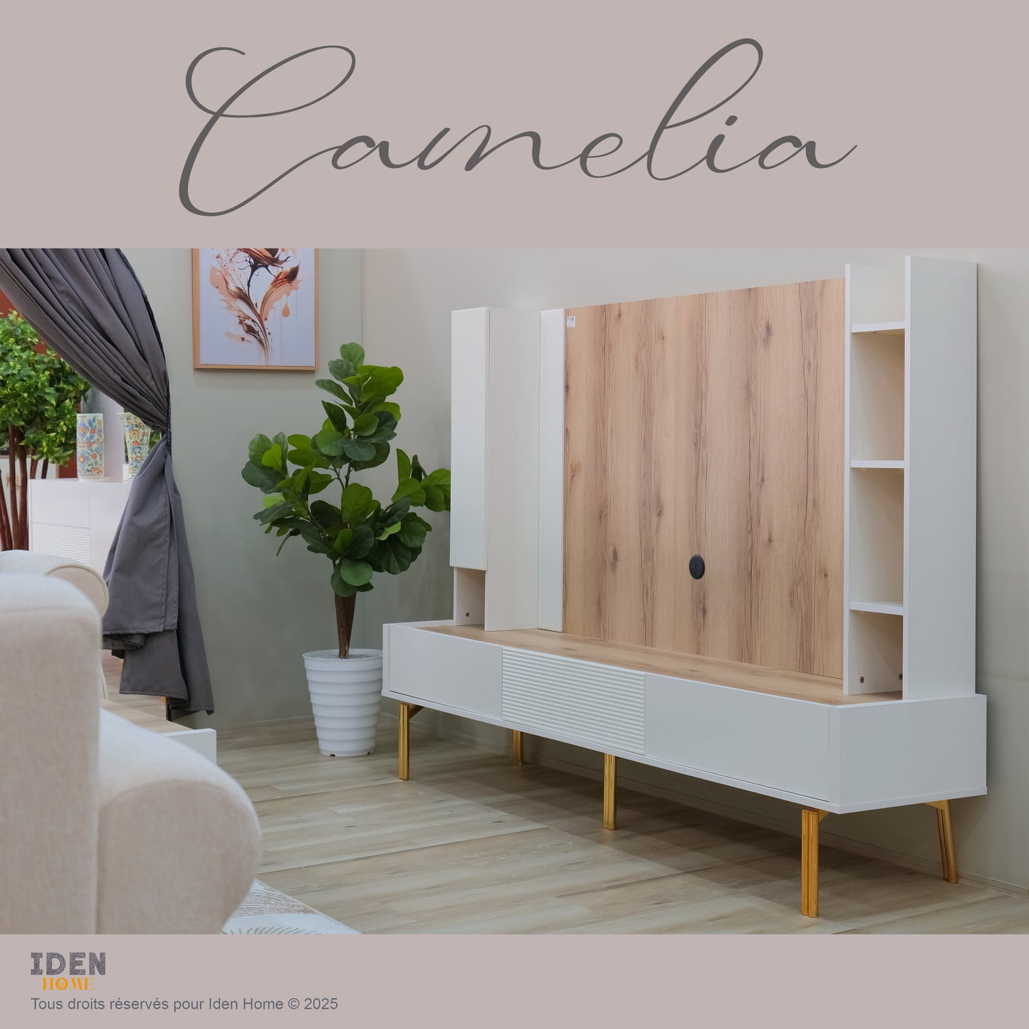CAMELIA ensemble
