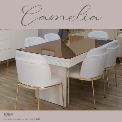 CAMELIA ensemble