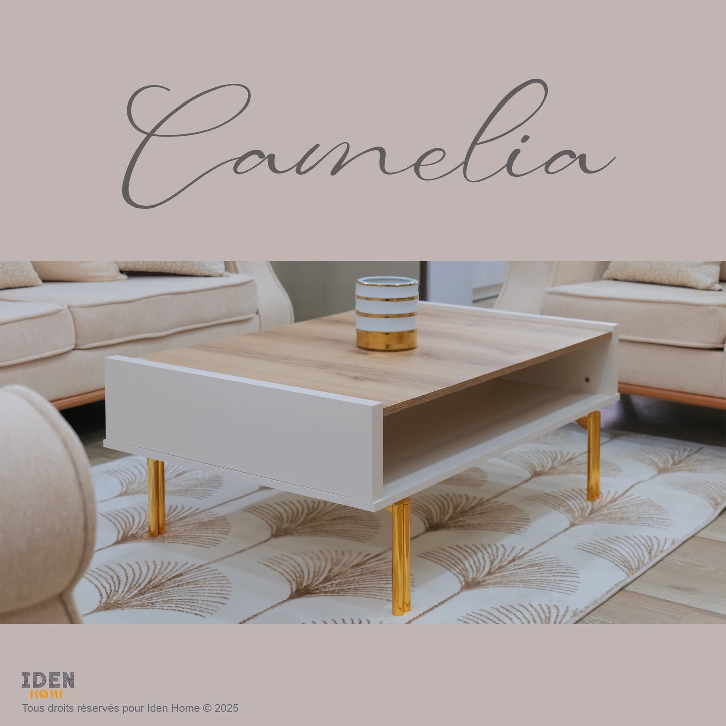 CAMELIA ensemble