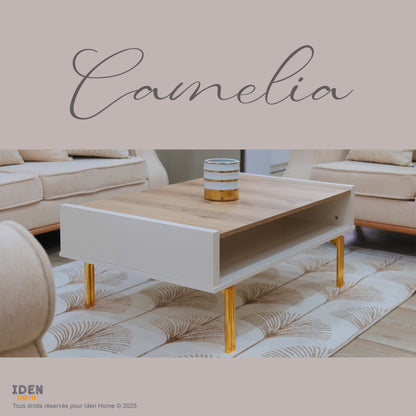 CAMELIA ensemble